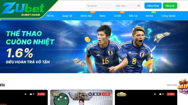 Những lưu ý khi tham gia cá cược Zubet Những lưu ý khi tham gia cá cược Zubet